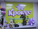 Крокус, цветочная лавка